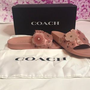 Coach